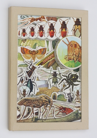 James Allen  Insecta, 2020  book excavation