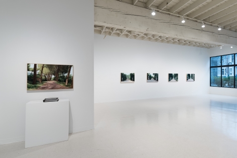 Tom Fawkes | Recent Work | March 4–27, 2021 | Installation view 06