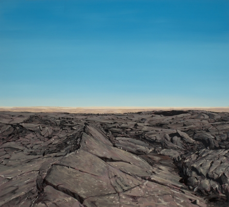 Brophy - Lava Field Surface I