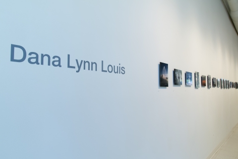 Dana Lynn Louis at Laura Russo Gallery May 2015
