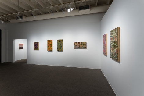 Rae Mahaffey - New Places - September 2–October 2, 2021 - Russo Lee Gallery - Installation view 02